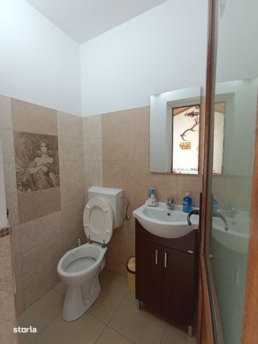 Casa individuala 5 camere+bucatarie Selimbar-9