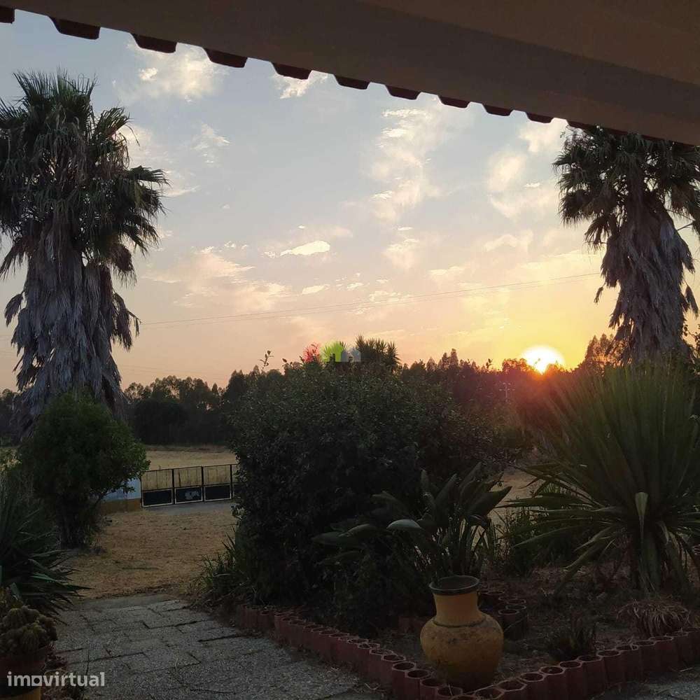 Quinta C/Moradia T2 - Foros de Vale de Figueira-31