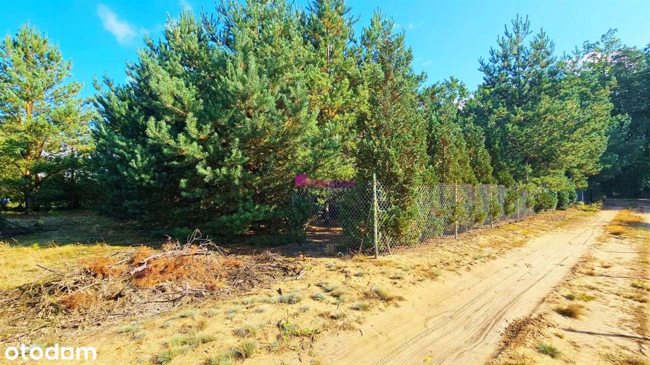 Zamieszkaj W Burlakach - Pełny obrazek: 5/16