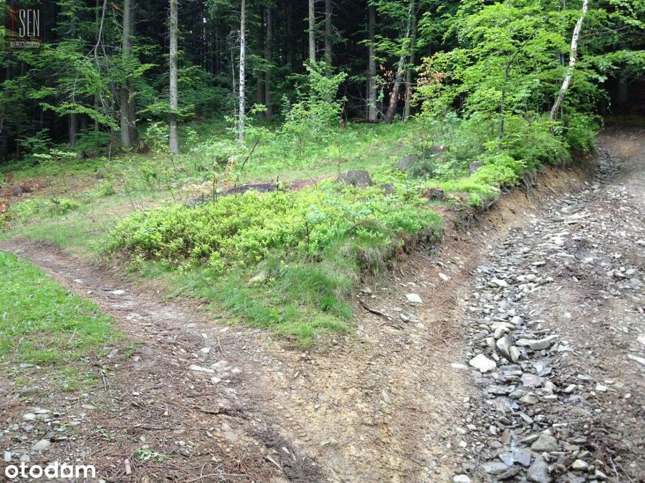 Działka Widokowa W Sąsiedstwie Przejścia Na Wyciąg-1