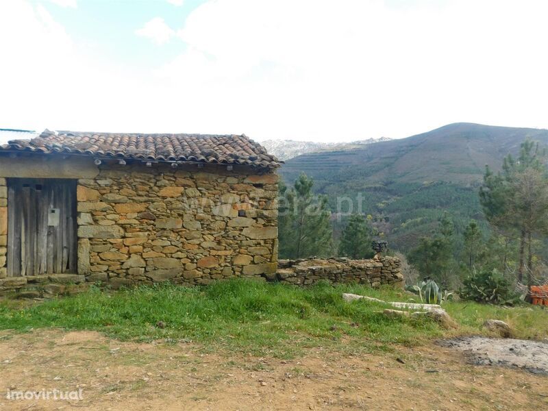 Terreno com ruina / Fundão, Souto da Casa