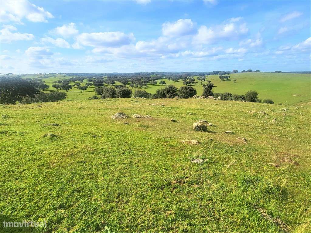 Herdade com108 ha e Monte para reconstruir Com 245 m2 - Grande imagem: 5/35