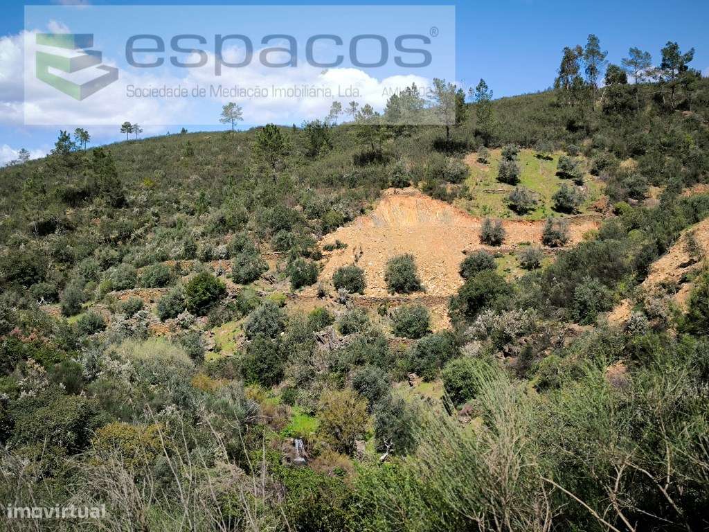 Vale do Ocreza - Vilares de Cima - Grande imagem: 4/6