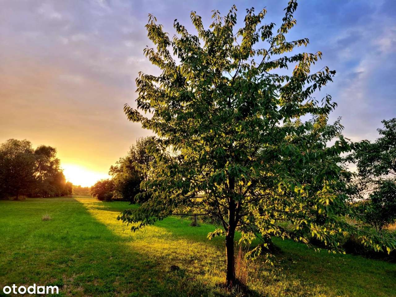 Działka z małym domkiem|Pod budowę|Z mediami-0