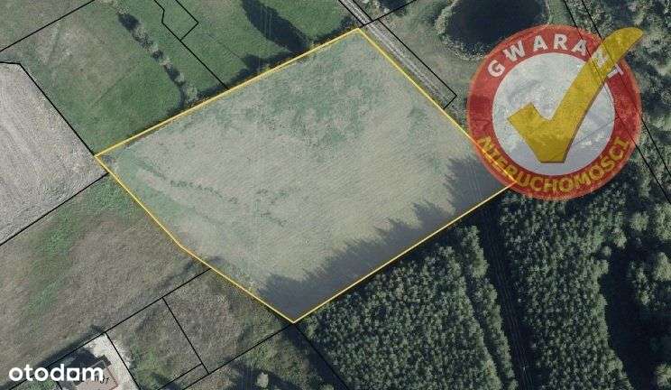 Działka z Wz na 7 budynków, granicząca z lasem. - Pełny obrazek: 5/5