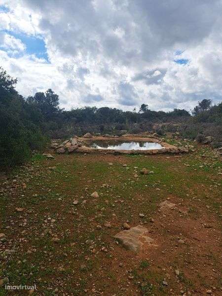 Terreno Rústico 51 720m² - Grande imagem: 2/9