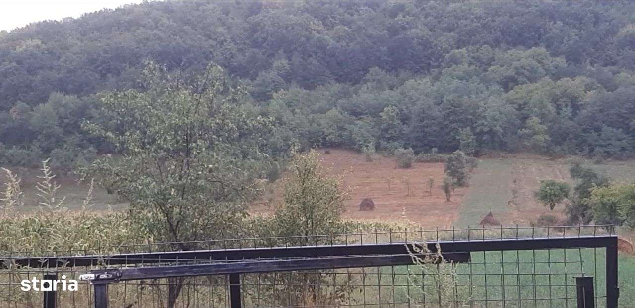 Vand teren intravilan foarte mare Loc. Buceava, Com. Gurahont 6700 m2. - Imagine principală: 3/9