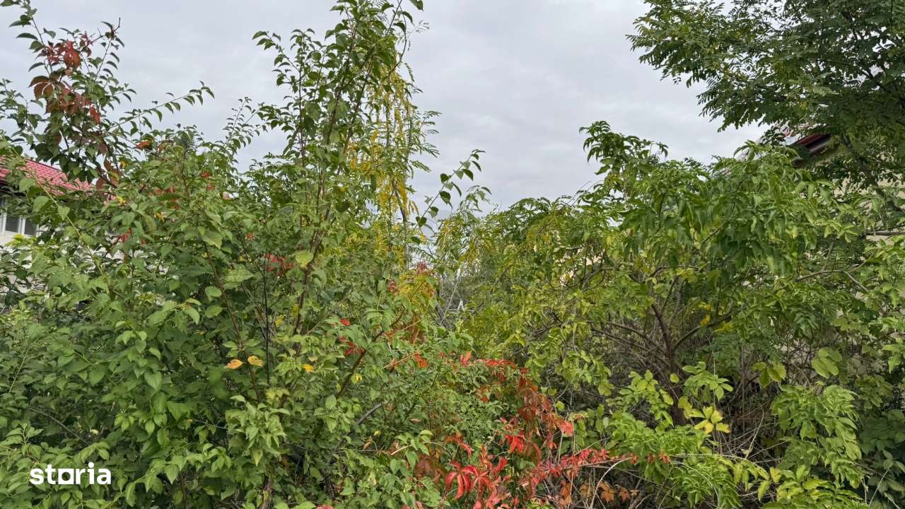 Teren intravilan Pipera I Vanzare - Imagine principală: 3/4