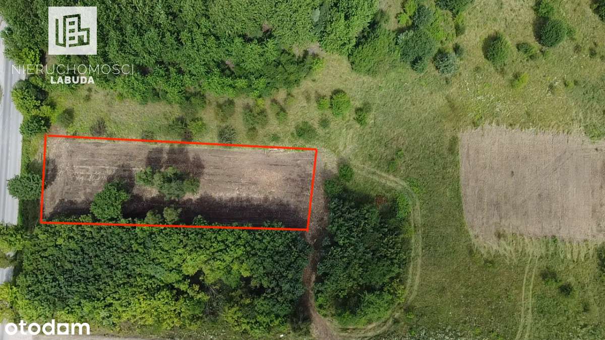 Działka pod dom i usługi – 2 004 m² | Skarszewy - Pełny obrazek: 5/7