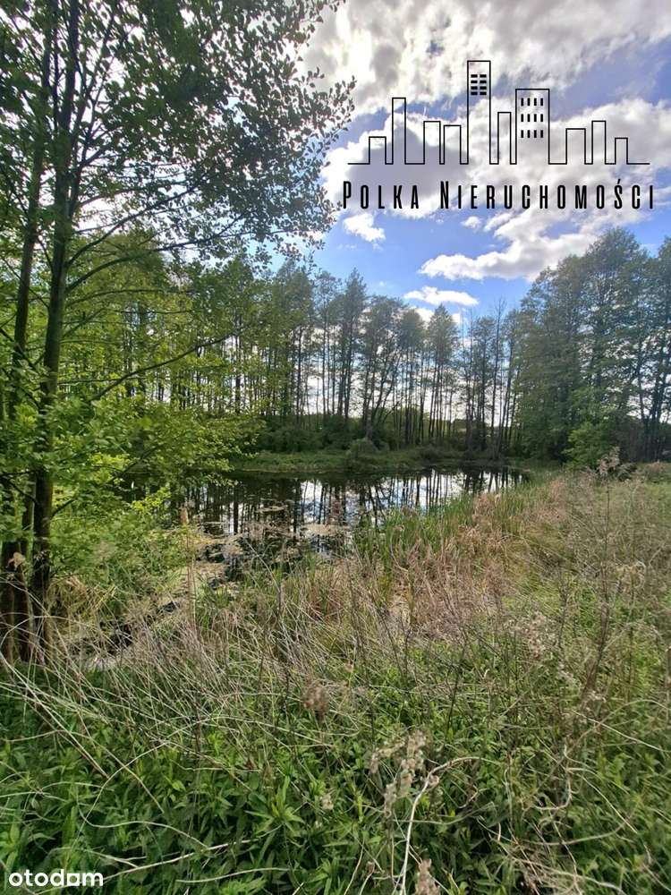 Wśród natury - las.. łąki.. i szybki dojazd do Torunia i Bydgoszczy-3