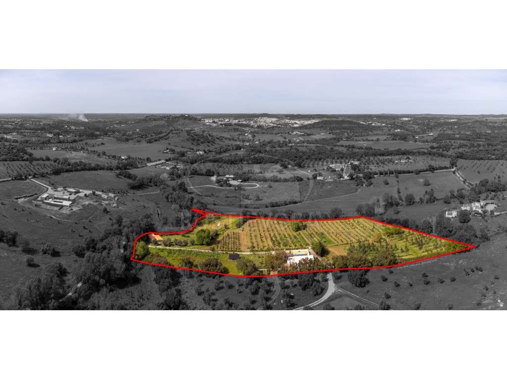 Quinta com duas casas, piscina, ribeira e AgroFloresta | Montemor-o...-17