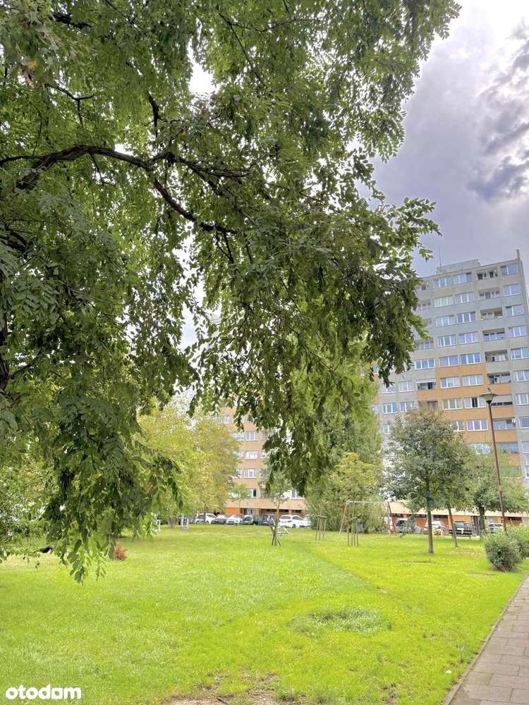 OKAZJA! Rozkładowe mieszkanie w zielonej okolicy!-0
