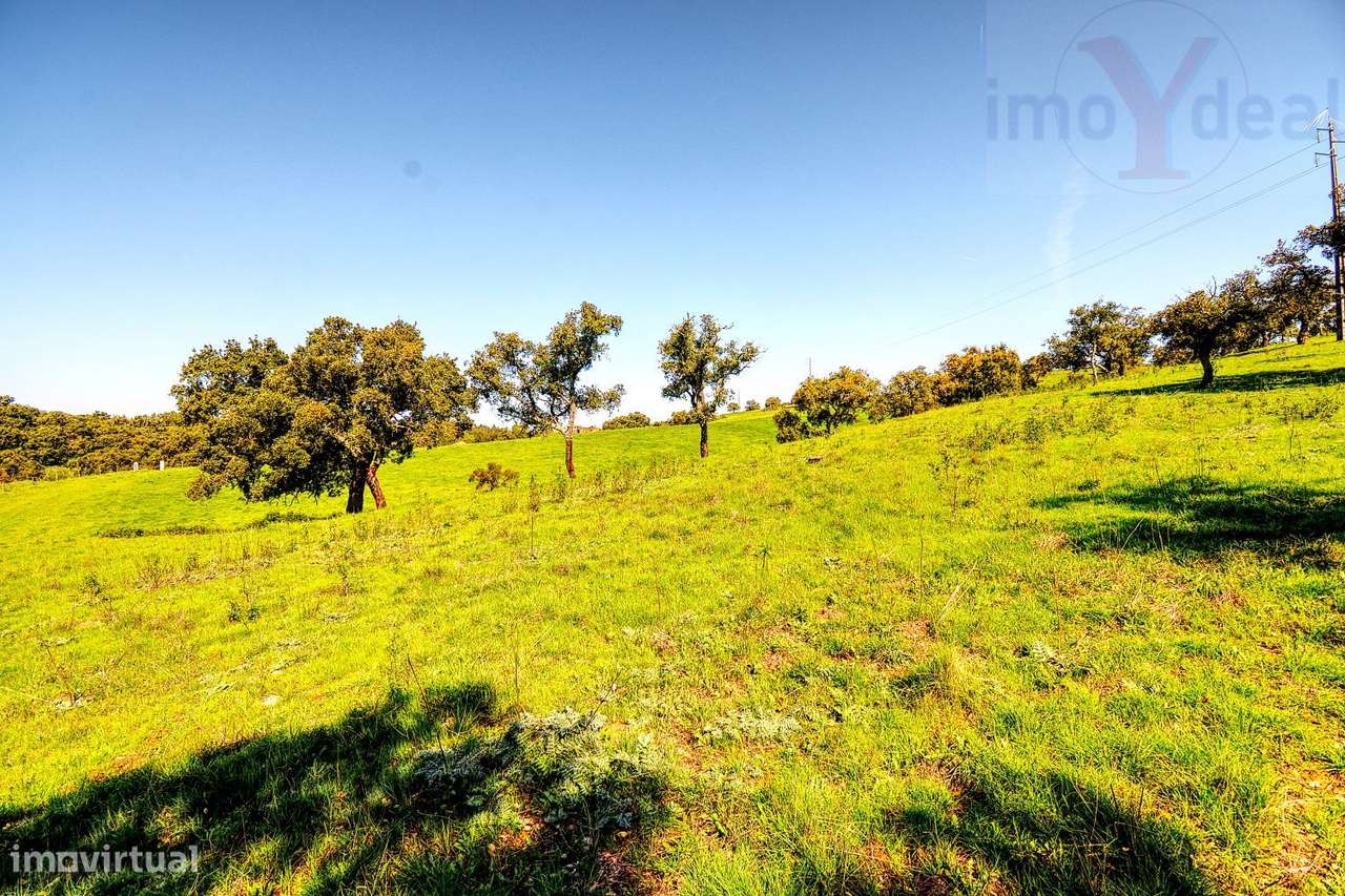 TERRENO EM S.BARTOLOMEU DA SERRA-20