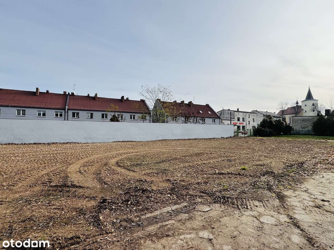 Pałac z parkiem i spichlerzem - do remontu - Pełny obrazek: 5/20