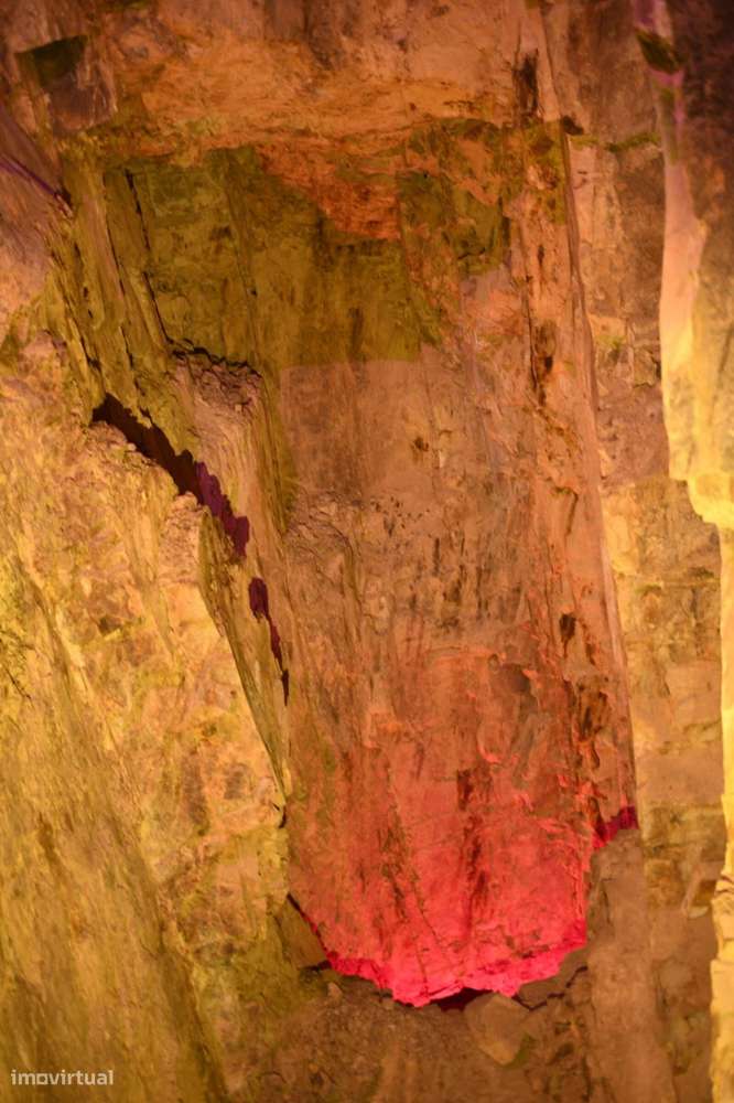 Quinta 5.3 ha, Covilhã-56