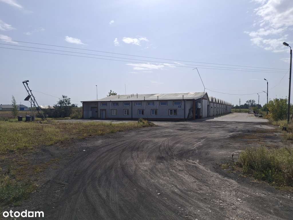 Nieruchomość po pieczarkarni/ Strusy/ Paprotnia - Pełny obrazek: 5/20