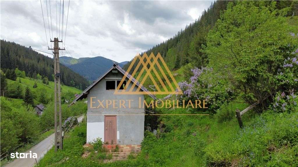 Teren cabana intr-un satuc din Bucovina cu toate utilitati - Imagine principală: 3/11