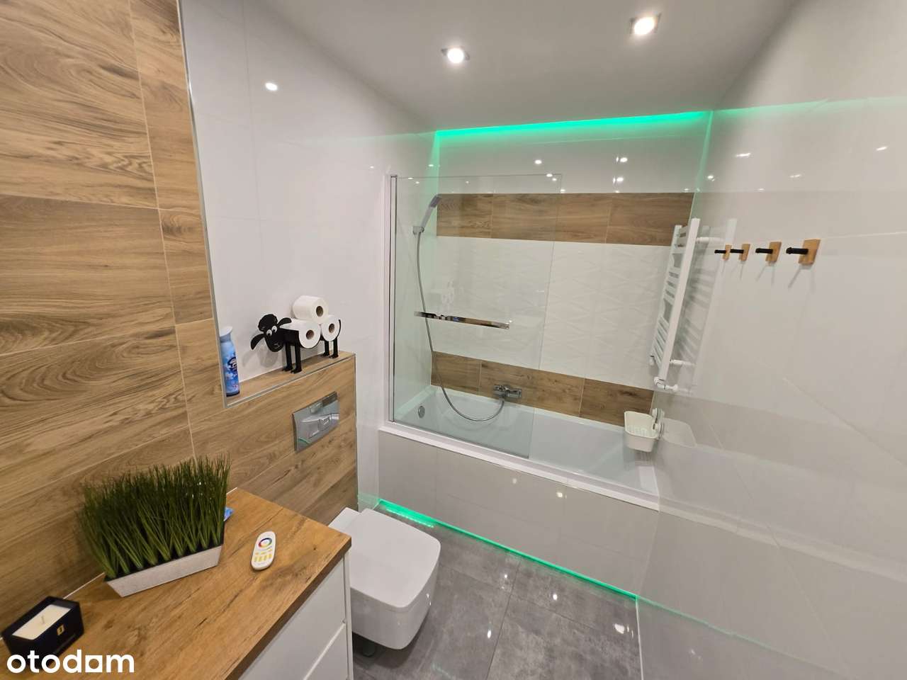 duże, wyjątkowe mieszkanie Rynek-19