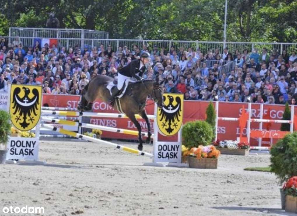 Działka budowlana Przyłęgów - BEZ PROWIZJI-8