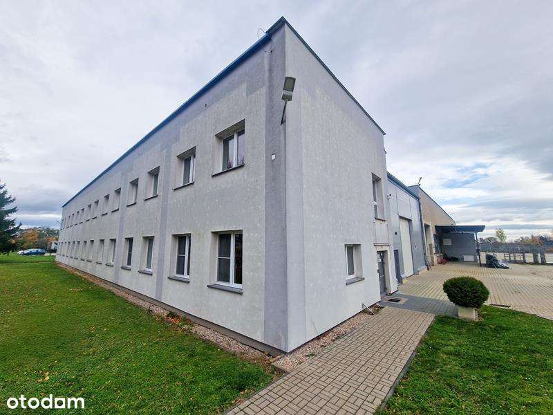 Produkcja od zaraz? To tu!-2