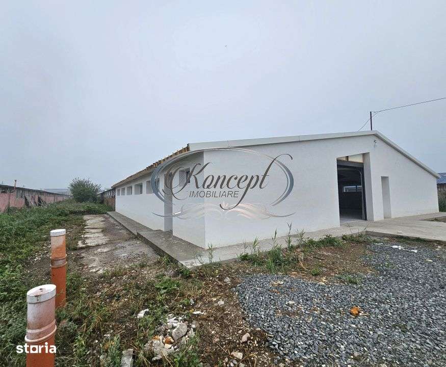 Hala la prima inchiriere, izolata termic, disponibila imediat in Jucu - Imagine principală: 1/15