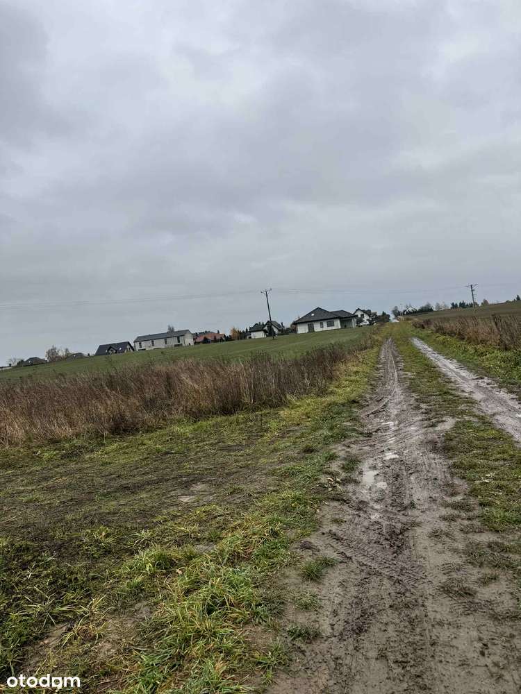 Działka  15ar w Chróstniku - okazja. - Pełny obrazek: 5/8
