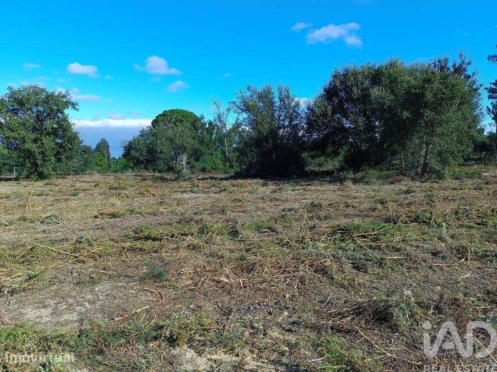 Terreno em Sesimbra (Castelo) de 5000,00 m2 - Grande imagem: 2/30