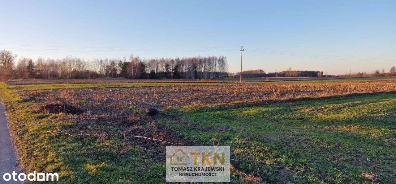 Działka budowlano-rolna 2 ha, Lipiny, gm-5