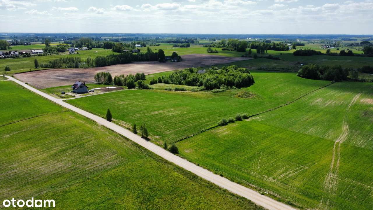 Filipów - trzy działki w Olszance - Pełny obrazek: 5/6