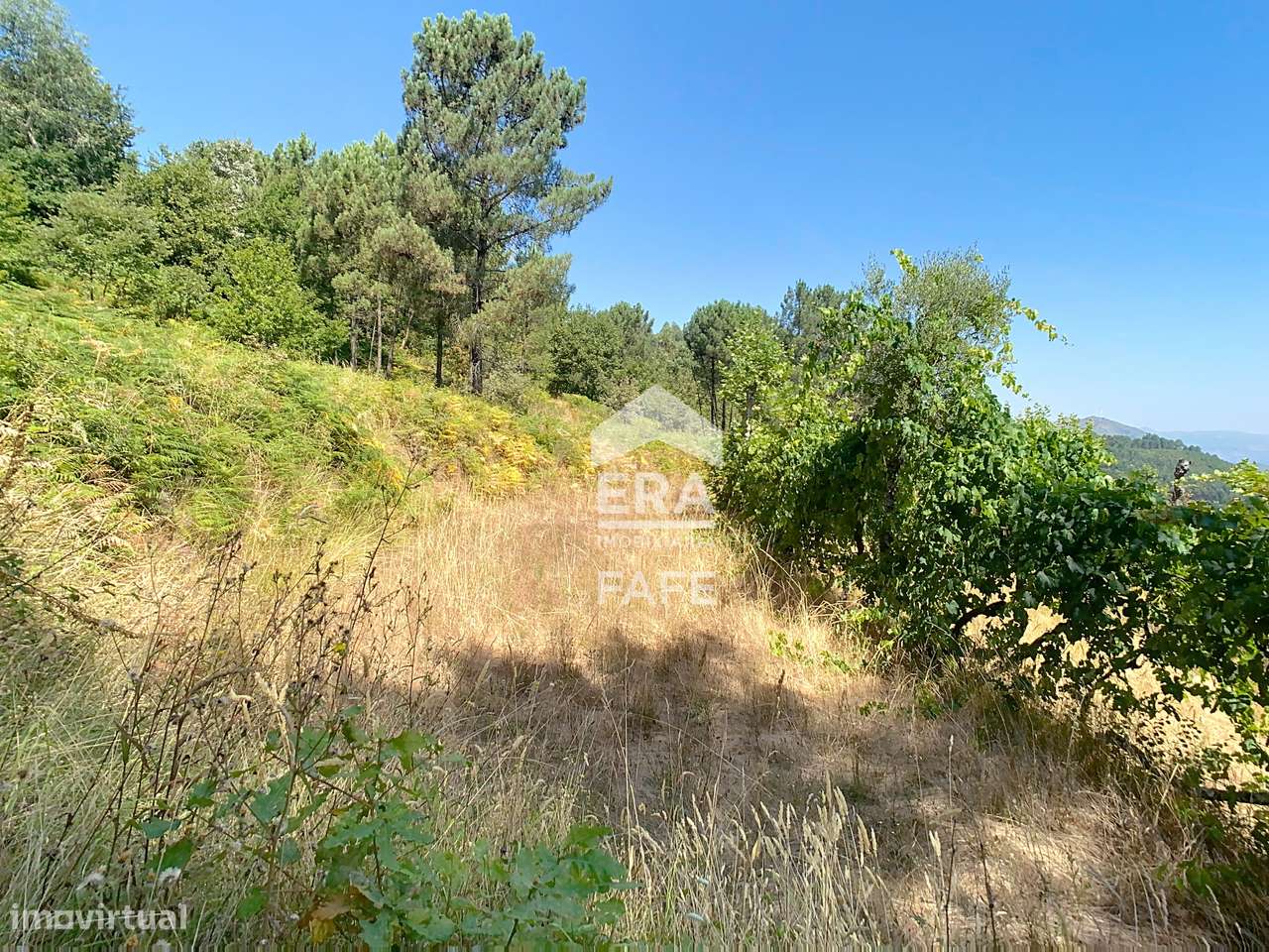 Moradia V4 em Ribas, Celorico de Basto-29