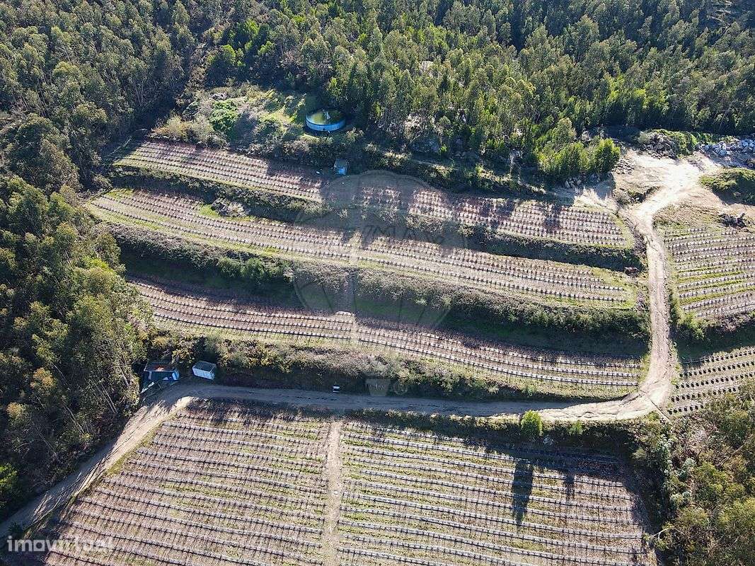 Terreno  para venda - Grande imagem: 4/16