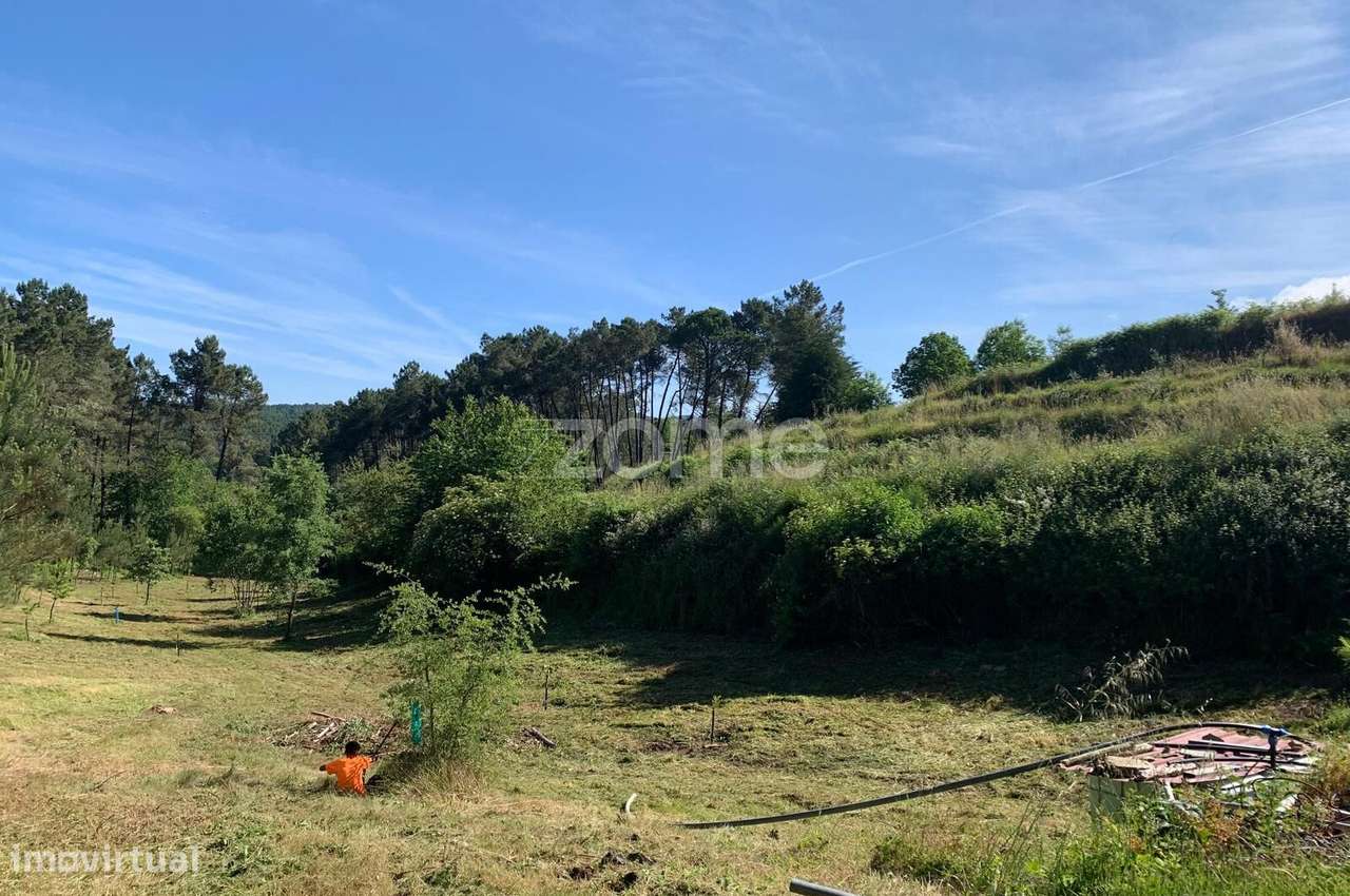 Terreno agricola e florestal.-31