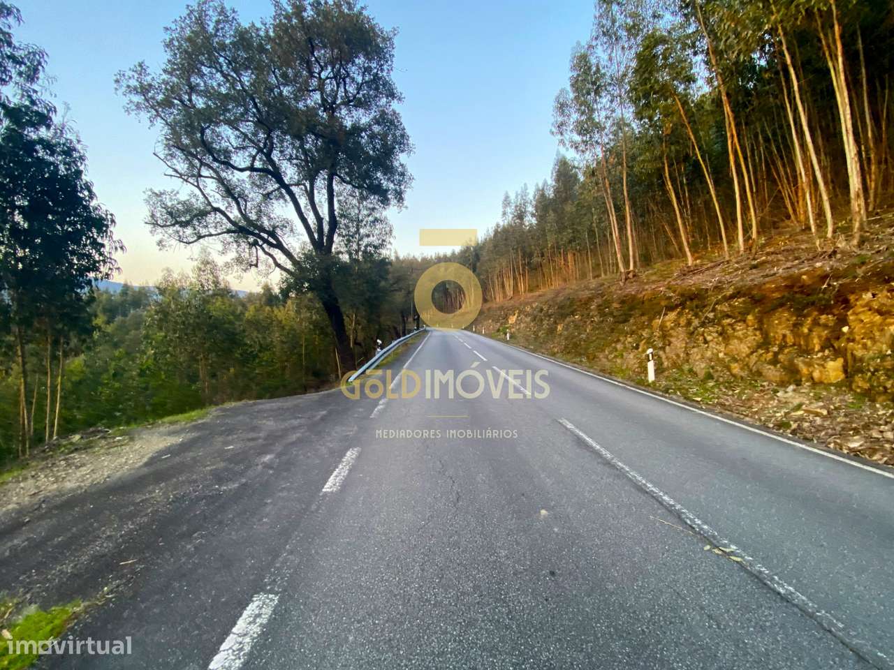 Terreno Florestal - Grande imagem: 2/7