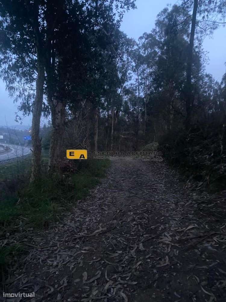 3 Lotes de terreno rústico Ferreirinha - Gondomar - Grande imagem: 3/20