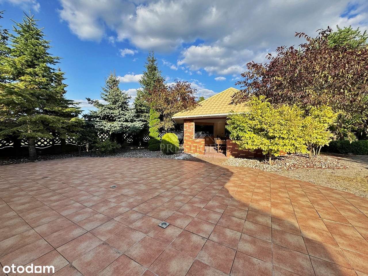 Dwa domy, siedlisko ze stawem i halą, wśród lasu-8