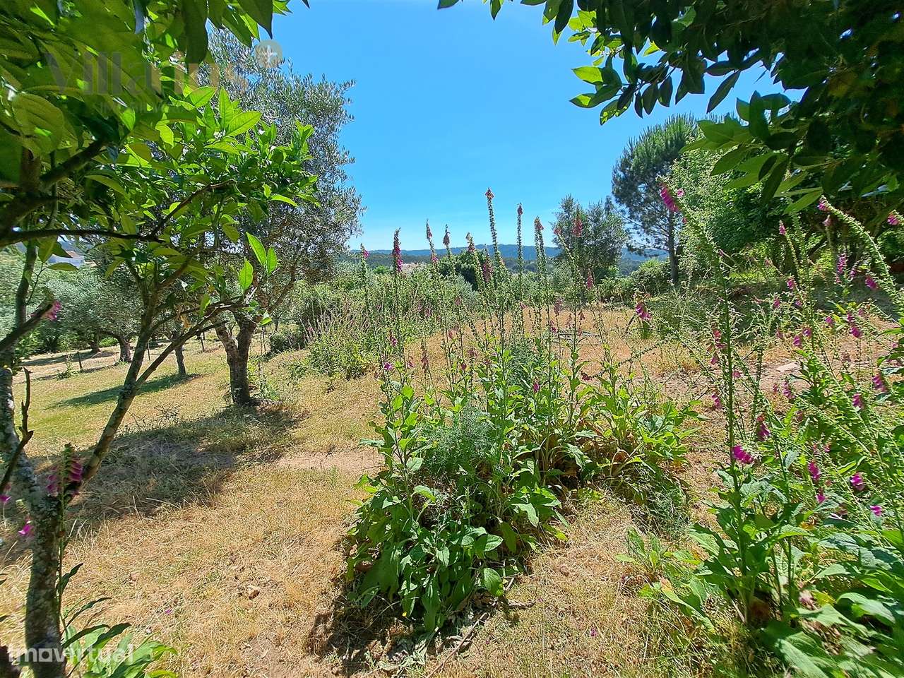 Terreno Urbano com Vista e Acesso Rápido a Tomar | Villarius Imobiliár-22