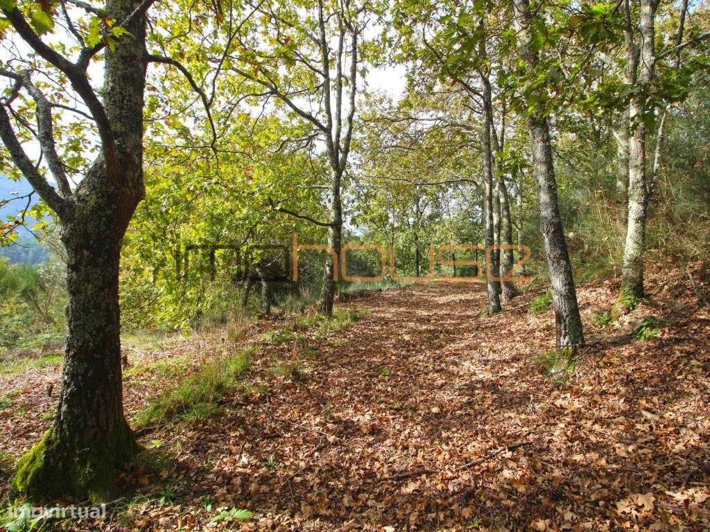 Quinta isolada - Amarante-25