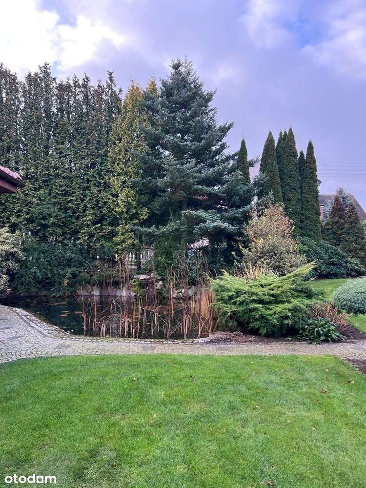 Dom i wielki garaż z mieszkaniem. Okazja!-2