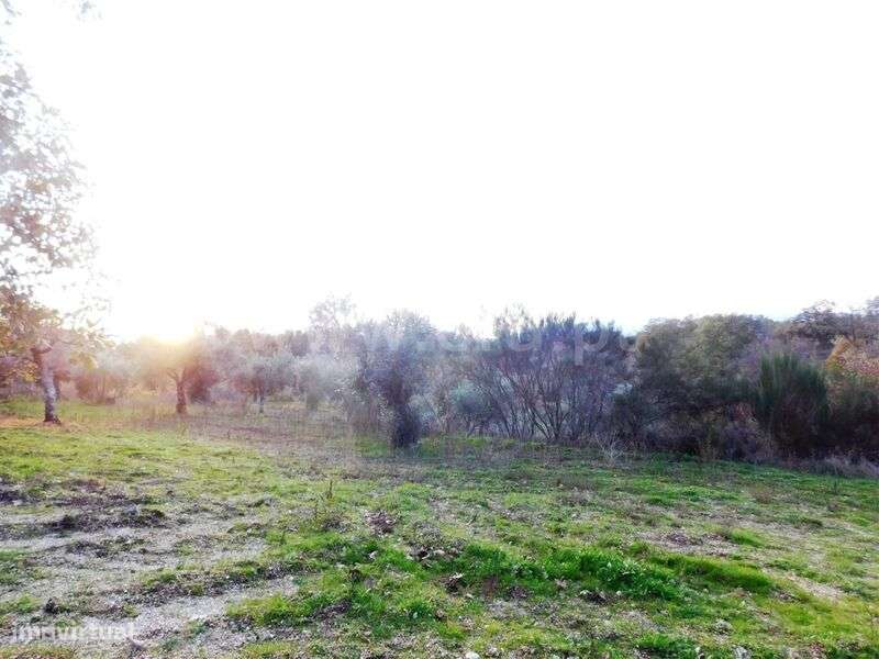 Quinta T1 / Fundão, Orca - Grande imagem: 5/19