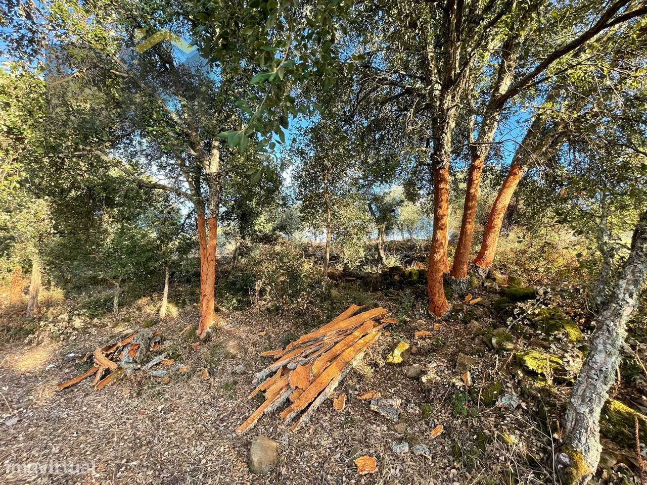 Terreno Rústico  Venda em Ninho do Açor e Sobral do Campo,Castelo Bran - Grande imagem: 5/12