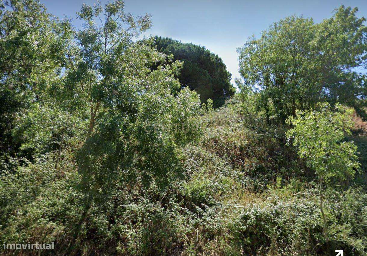 Terreno Rústico em Sintra: Localização Privilegiada e Tranquila- Almar - Grande imagem: 4/9