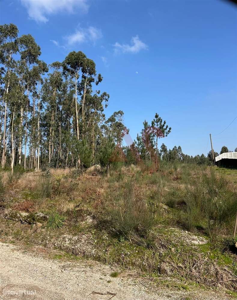 Terreno para Construção em Sanfins – 3.000 m² | Excelente Oportunidade - Grande imagem: 3/7