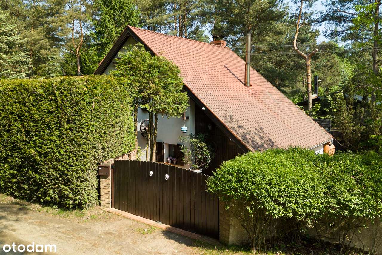 Piękny dom pośród lasu-0