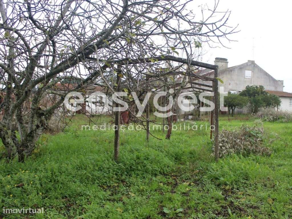 Moradia T3 Térrea, inserida num terreno com mais de 6 000 m2 - Grande imagem: 4/17