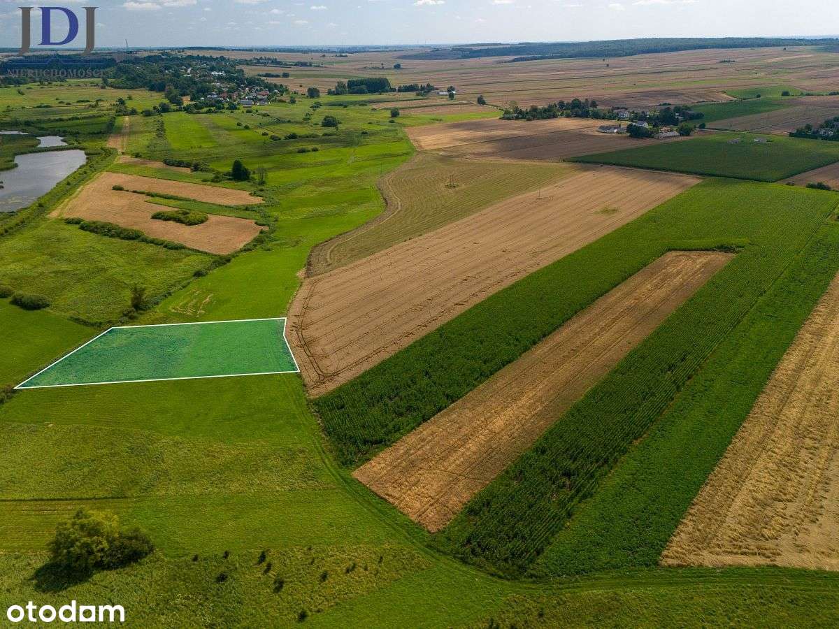 Działka łąka 39 ar.Rogów.Grabowiec - Pełny obrazek: 5/7