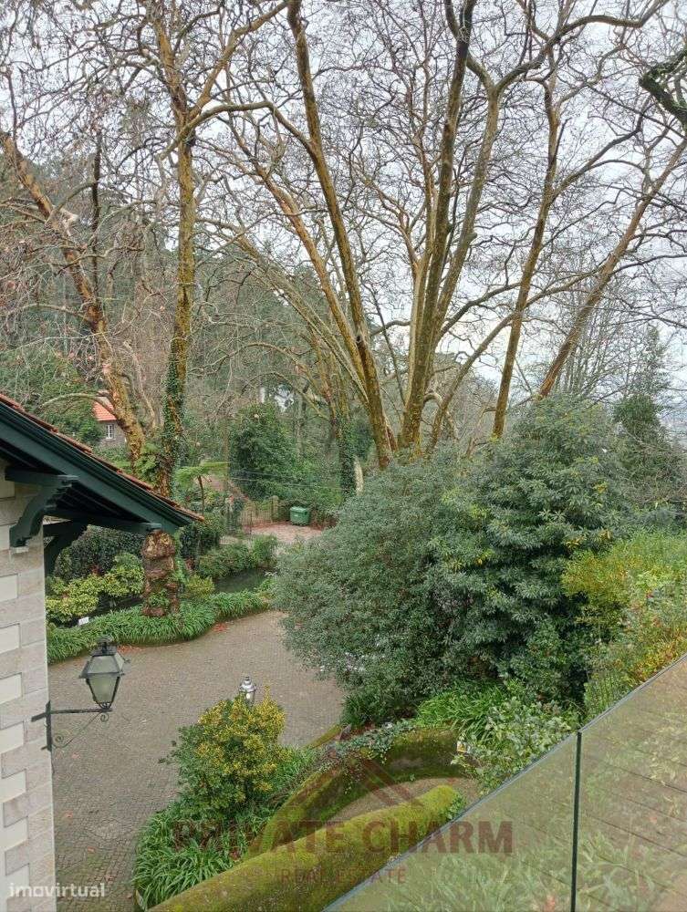 Quinta com área total de terreno 7.650m2-7