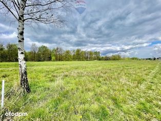 Jesówka k/Zalesia Górnego działka budowlana 1665 M