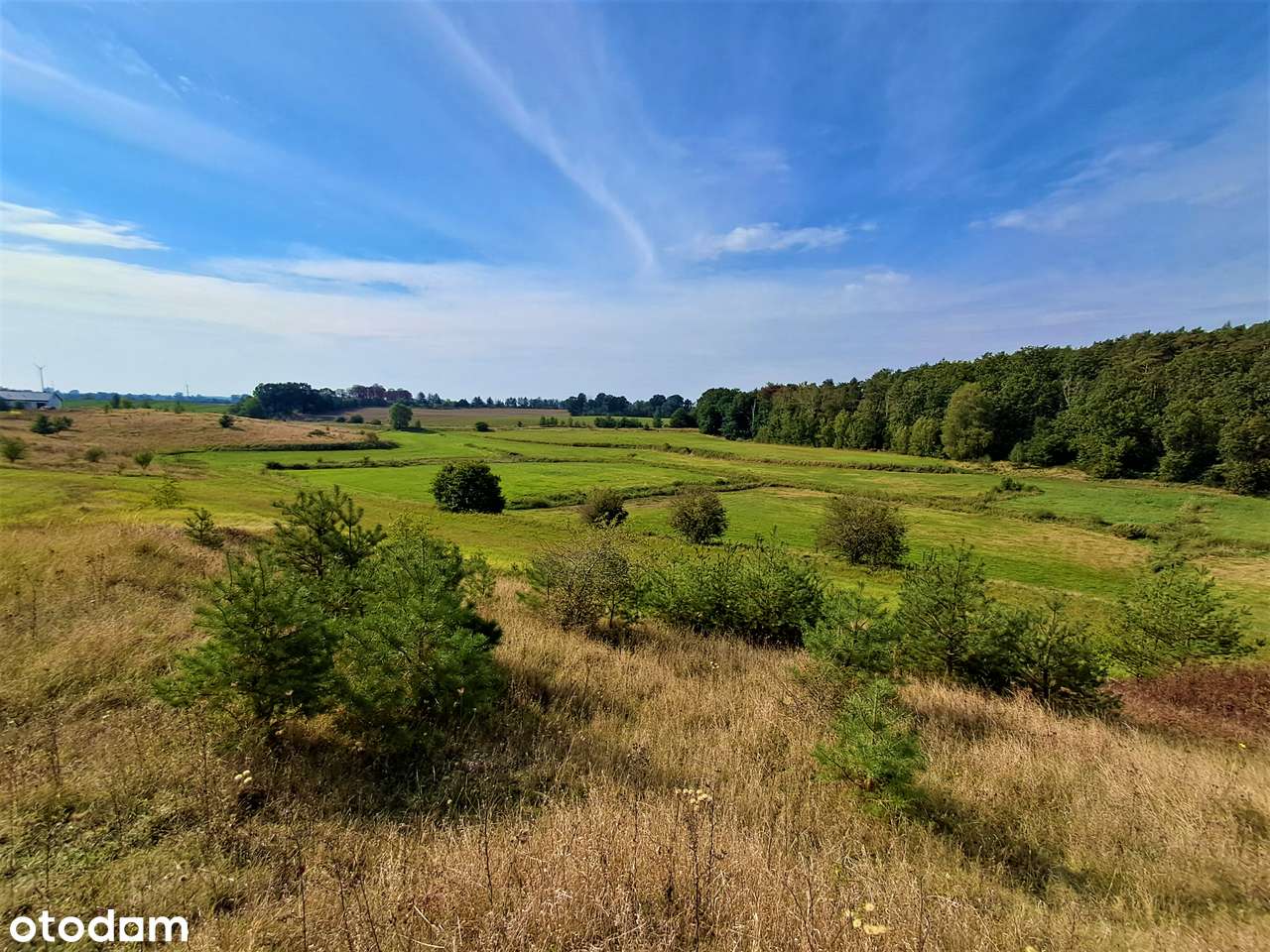 Na sprzedaż 5 działek budowlanych w Ławach z pięknym widokiem-6
