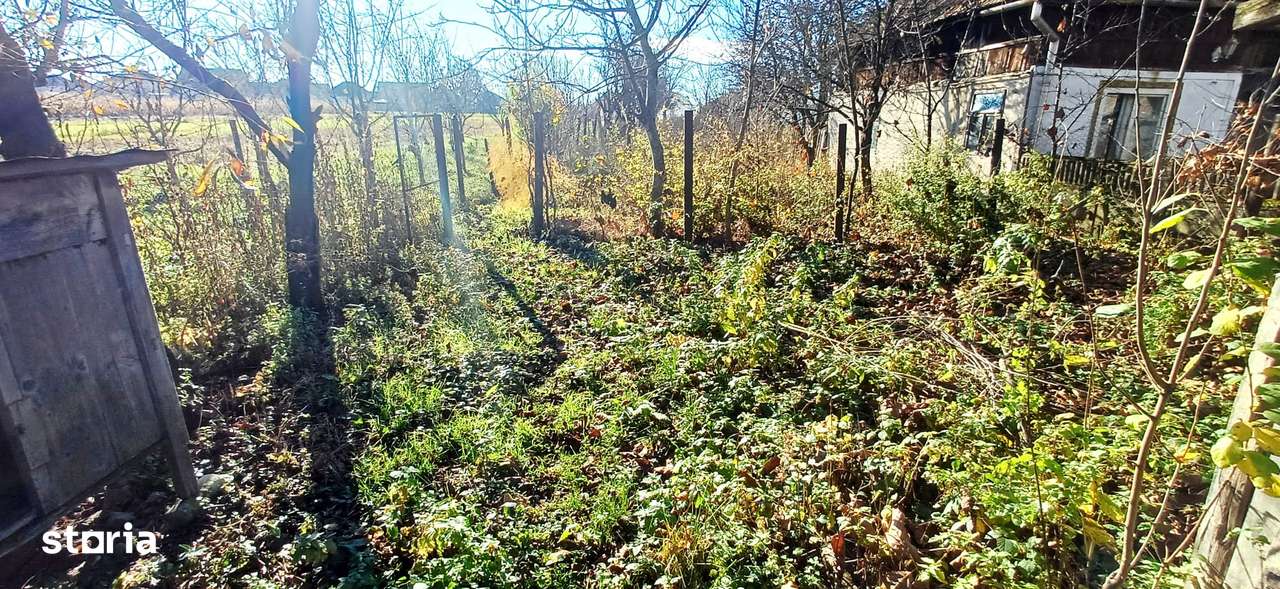 Sasar, casa 11 ari teren-8