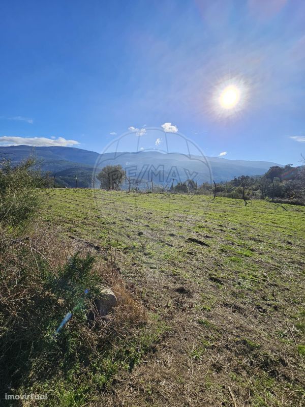 Terreno  para venda